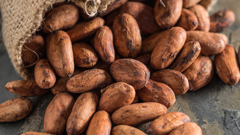 Socola thủ công thường sửa dụng cacao đơn vùng